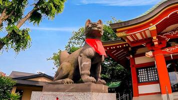 Wakabayashi Inari Shrine fox fox and red shrine building.Wakabayashi Inari Shrine is a shrine in Setagaya Ward, Tokyo. Since it received a donation of shrine territory in 1769, it is presumed photo