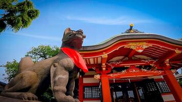 wakabayashi inari santuario zorro zorro y rojo santuario edificio.wakabayashi inari santuario es un santuario en setagaya pabellón, tokio ya que eso recibido un donación de santuario territorio en 1769, eso es presunto foto