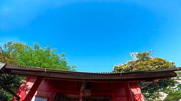 hatsudai shusse inari daimyojin, un santuario situado en hatsudai, shibuya-ku, tokio, Japón eso es situado arriba un colina, en un residencial área, siguiente a el hatsudai para niños diversión parque. foto