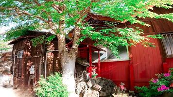 Hatsudai Shusse Inari Daimyojin, a shrine located in Hatsudai, Shibuya-ku, Tokyo, Japan It is located up a hill, in a residential area, next to the Hatsudai Children's Amusement Park. photo