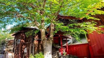 Hatsudai Shusse Inari Daimyojin, a shrine located in Hatsudai, Shibuya-ku, Tokyo, Japan It is located up a hill, in a residential area, next to the Hatsudai Children's Amusement Park. photo