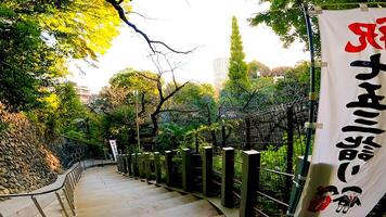 Shrine approach and Shichigosan banner.Oji Shrine is a shrine located in Oji Honmachi, Kita Ward, Tokyo, Japan. photo