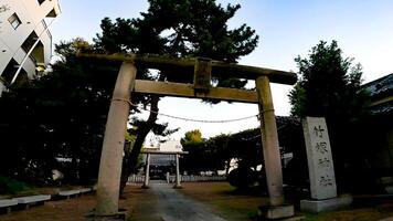 Shrine approach and torii.Takezuka Shrine, a shrine located in Takenotsuka, Adachi Ward, Tokyo, Japan It is said that during the 978-982, Ise Jingu was commissioned and built, photo