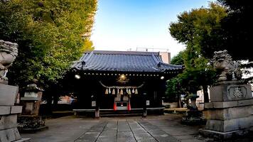 Shrine guardian dogs, approach and shrine building.Takezuka Shrine, a shrine located in Takenotsuka, Adachi Ward, Tokyo, Japan It is said that during the 978-982, Ise Jingu was commissioned and built, photo