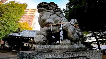 Shrine guardian dogs, approach and shrine building.Takezuka Shrine, a shrine located in Takenotsuka, Adachi Ward, Tokyo, Japan It is said that during the 978-982, Ise Jingu was commissioned and built, photo