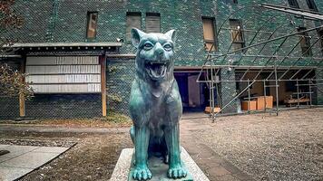 Japanese wolf guardian dog and shrine.Miyamasu Mitake Shrine is a shrine in Shibuya Ward, Tokyo, Japan. There is a guardian dog that is said to be modeled after the extinct Japanese wolf. photo