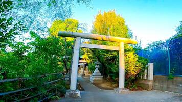 Torii of Seiryu Shrine, a shrine in Takasago, Katsushika Ward, Tokyo, Japan. A long time ago, a pond was created when the Nakagawa river burst. It is said that there is a white snake. photo