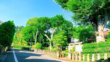 torii de un santuario en un residencial zona izumi kibune santuario.izumi kifune santuario en izumi, suginami pabellón, tokio, Japón eso es dijo a tener estado construido durante 1264-1275. foto