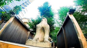 guardián perros de inari kio santuario, un santuario en kabukicho.inari kio santuario, un santuario en kabukicho, Shinjuku-ku, tokio el solamente santuario en Japón ese consagra el demonio Rey gongen. foto