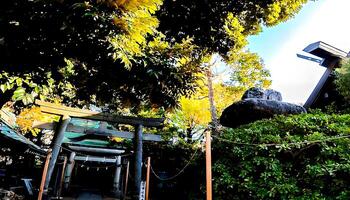 Shimane Washi Shrine, located in Shimane, Adachi Ward, Tokyo, Japan.this area is said to have been an ancient cove, where the gods landed by boat, and it is said that Takeru Takeru of Japan worshiped photo