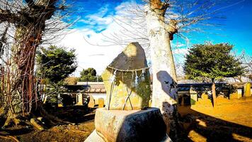 Katori komagata santuario recinto santuario inari okami, un santuario situado en código, matsudo ciudad, chiba prefectura, Japón eso consagra futsunushi No mikoto, el guerra Dios conocido como Katori-sama, el guardián foto