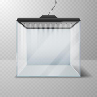 Realistic glass cube or aquarium with lighting.