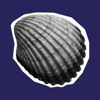 seashell in halftone isolated vector