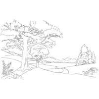 forest with paths vector