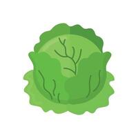 Cabbage icon clipart avatar logotype isolated illustration vector