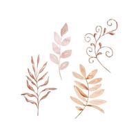 Watercolor set tender branch with leaves vector