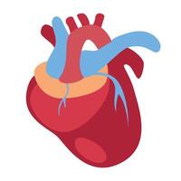 heart with blue and red vein vector