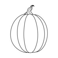 Autumn pumpkin simple line icon. Hand drawn illustration for Halloween and Thanksgiving decoration. vector