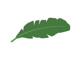 plátano verde hojas antecedentes ilustración vector
