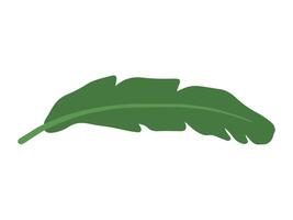 Banana Green Leaf Background Illustration vector