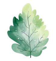 watercolor tree. Hand drawn illustration. Watercolor woodland. Watercolor nature element vector