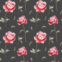 Seamless pattern with watercolor peonies on dark background. Watercolor botanical background vector