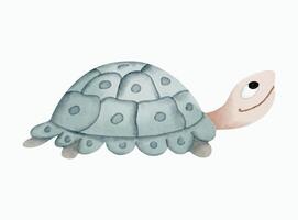 Watercolor turtle. Hand drawn baby animal. Watercolor illustration of cute turtle. vector