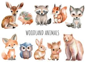 Set of watercolor forest animals. Woodland animals. Bear, fox, boar, deer, squirrel, owl, hare, hedgehog. vector