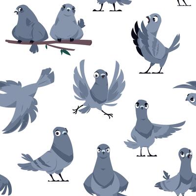 Cartoon pigeon pattern. Seamless print of cute birds in different poses and actions, domestic and wild white and gray dove. texture