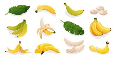 Cartoon banana slices. Yellow ripe organic fruit with peel, sweet organic vegan food, tropical fruit assortment. isolated set vector