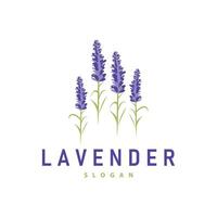 Lavender Logo Elegant Purple Flower Plant Illustration Floral Ornament Design vector