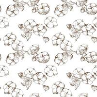 , seamless, black and white pattern of cotton flowers. Botanical illustration using engraving technique. Cotton branches with leaves are drawn with ink. Illustration suitable for fabric, textile vector