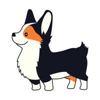 linda corgi en pie aislado en blanco antecedentes vector