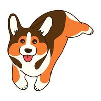 linda corgi sentado aislado en blanco antecedentes vector