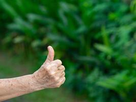 mano de un mayor mujer demostración éxito gesto con naturaleza antecedentes. espacio para texto. concepto de Envejecido personas y cuerpo parte foto