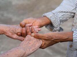 Close-up of a handshake between senior women while standing in a garden. Concept of aged people and relationship photo