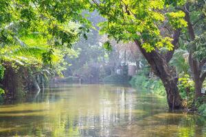 Beautiful scenic view of the pond, trees with nature background photo