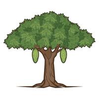 illustration of a tree vector