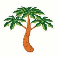 papaya tree illustration vector