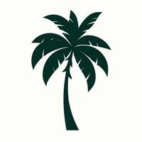 palm tree illustration vector