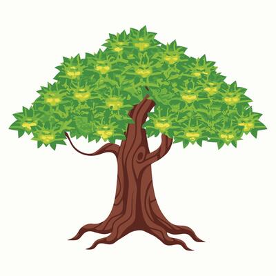 tree isolated on white