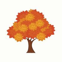 tree with orange color leaves vector