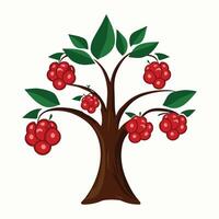 tree with berries vector