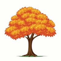 tree with orange color leaves vector