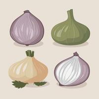 set of onions vector