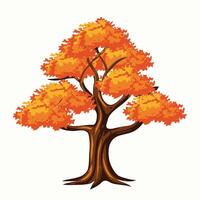 tree with orange color leaves vector