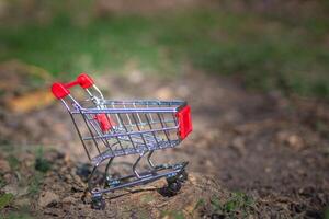 The empty small shopping cart on the soil in the garden. Space for text. Concept of e-commerce and shopping photo