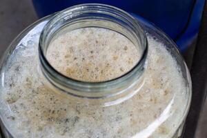 Close-up of craft beer and foam in a fermentation container. Process of making home beer from malt. Craft beer from barley and dark malt. photo