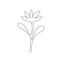 Wild field flower in one line style vector