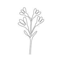 Wildflower line art vector